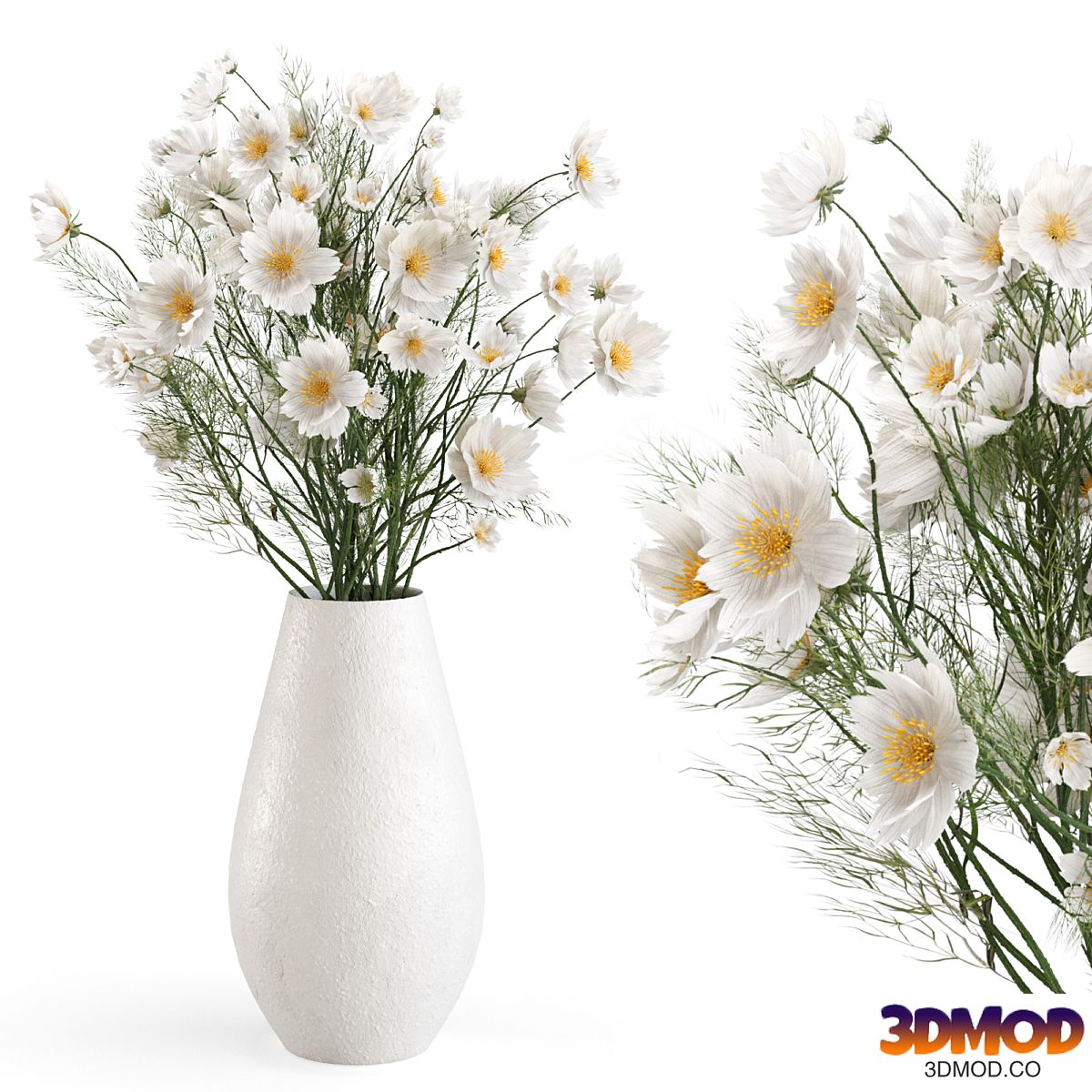 Cosmos bipinnata flowers in a ceramic vase