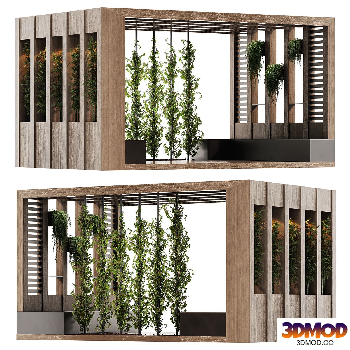 Modern Garden Pergola