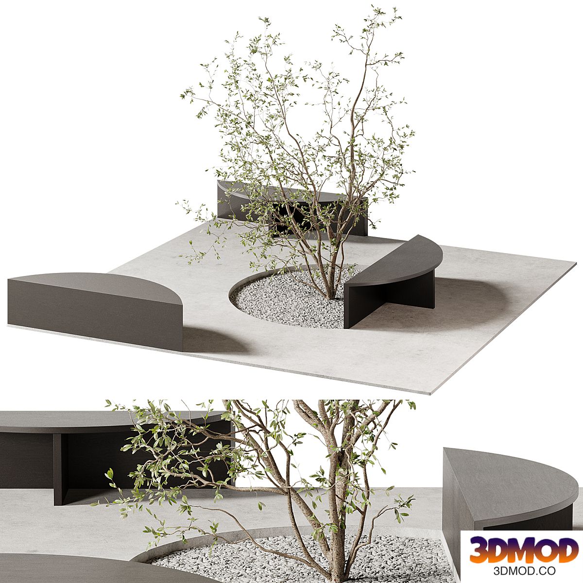 Outdoor plants 13