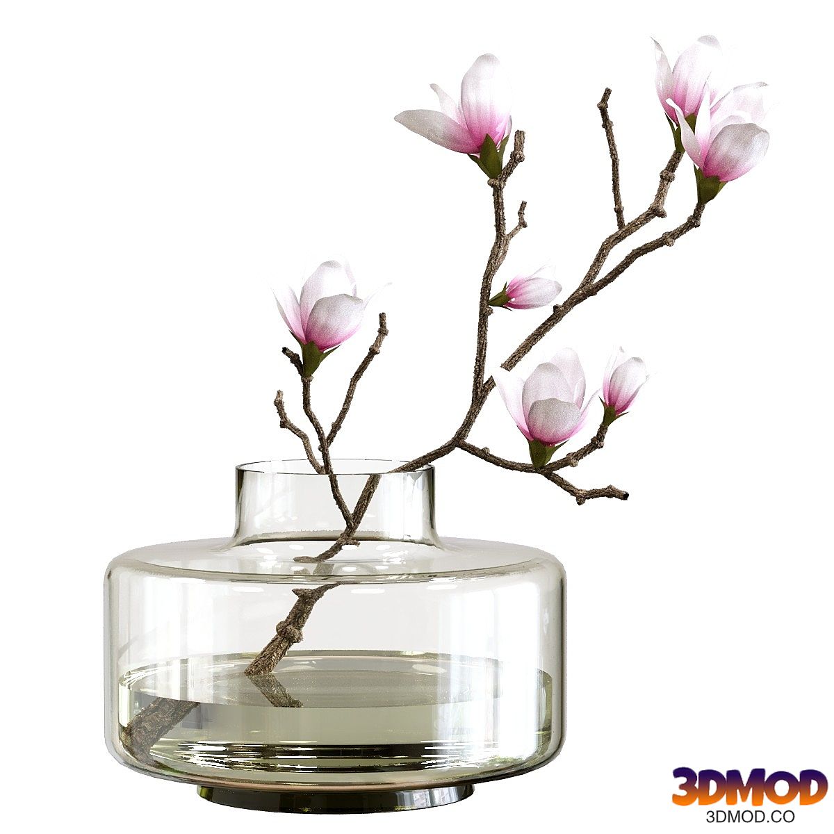 Bouquet of magnolia in a vase