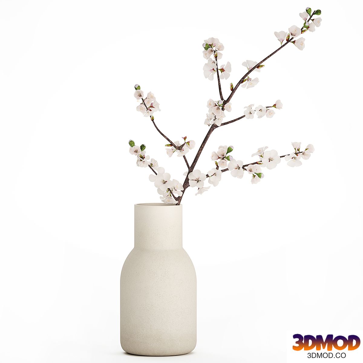 White bouquet of cherry blossom branches and sakura. Set 527.