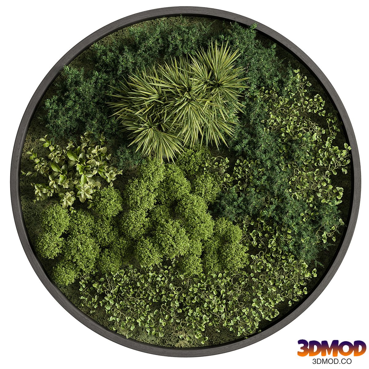 Circle Plant Frame - Fitowall 104