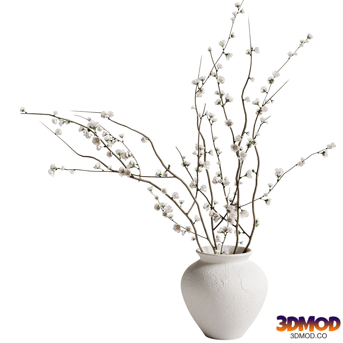 Vase with plum branches