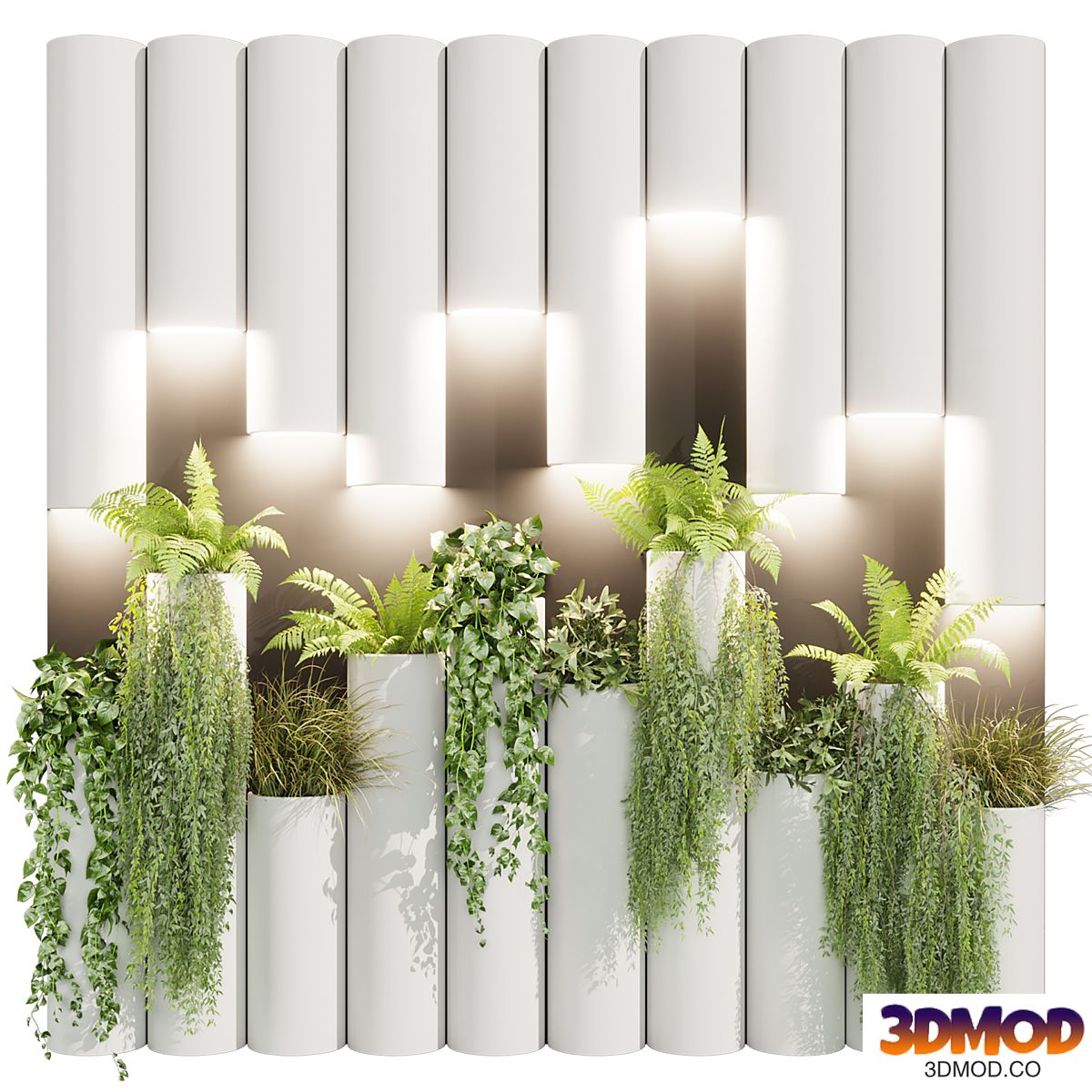 Collection plant vol 632 - decoration - Lady ferns - ivy - pothos - bush