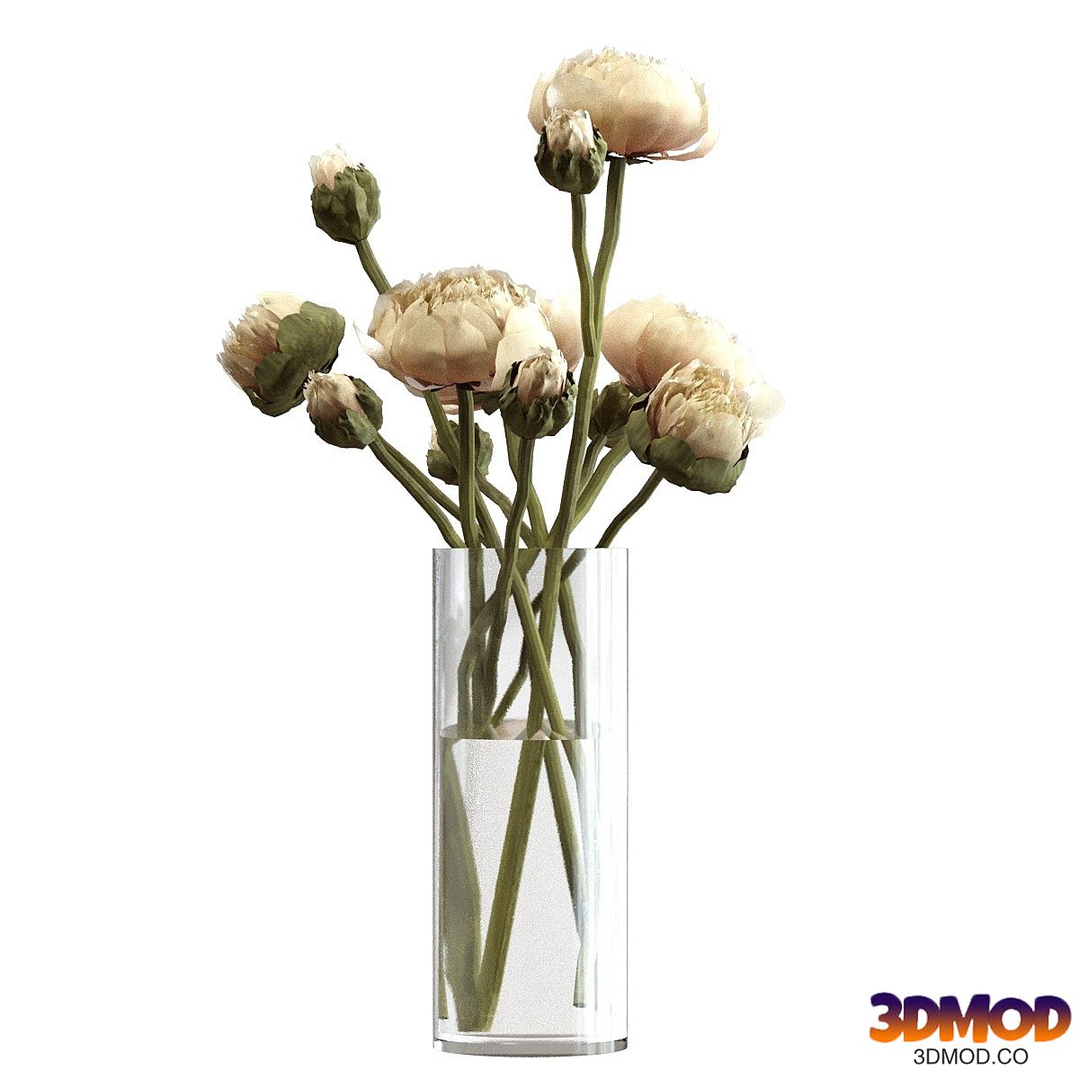 Bouquet of peonies in a glass vase