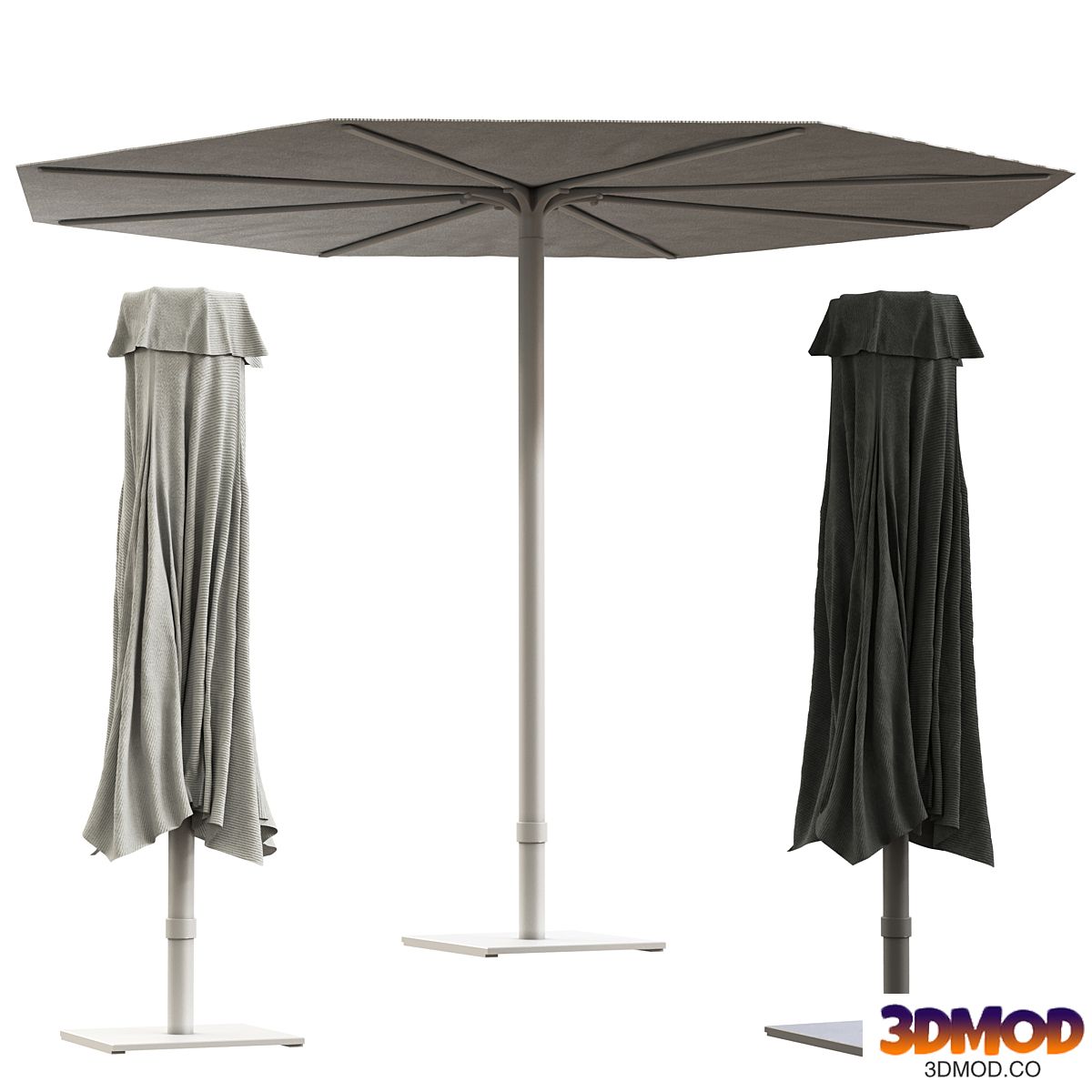 bloom parasol