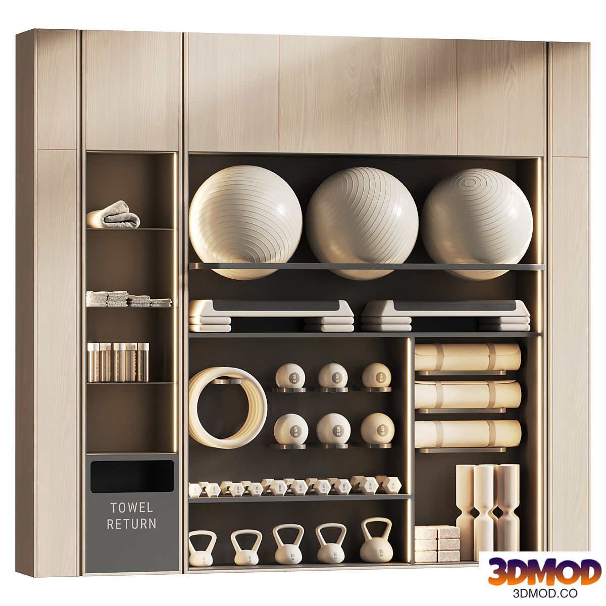 Shelf with sports equipment for yoga and group classes 002