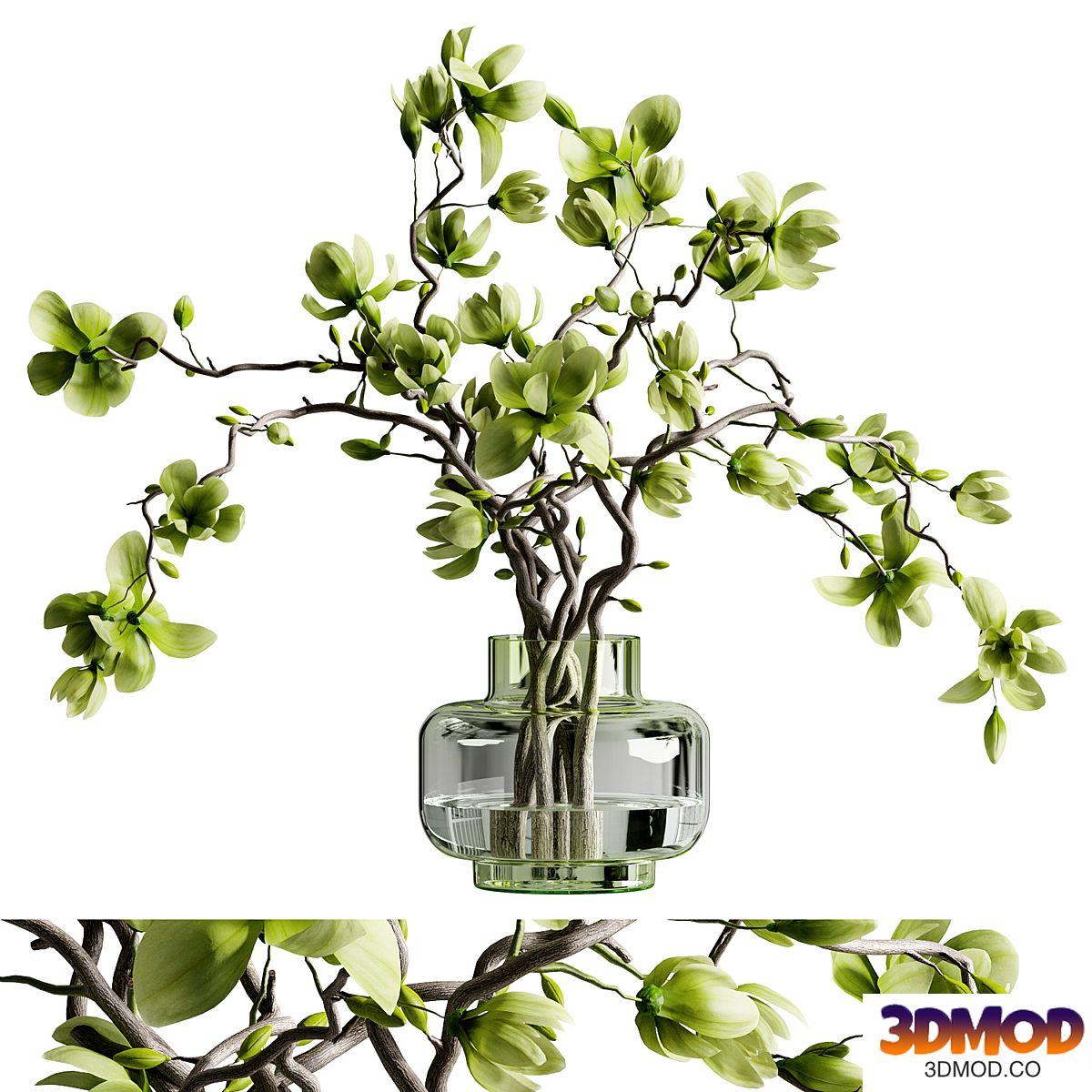 green magnolia bouquet in glass vase 03