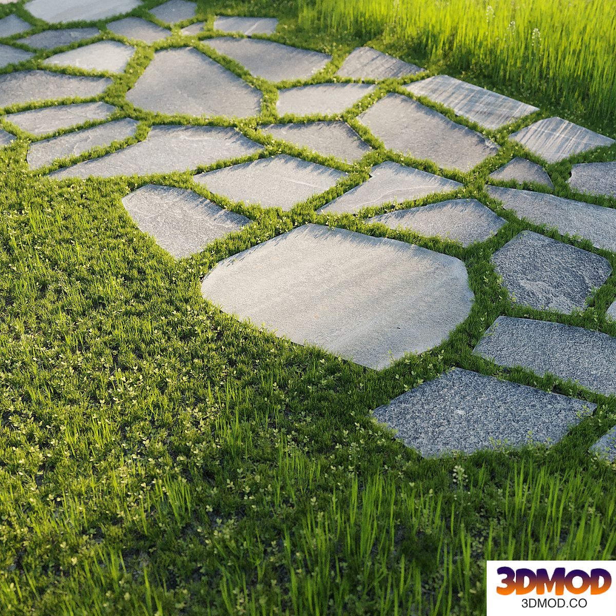 Grass for step by step path