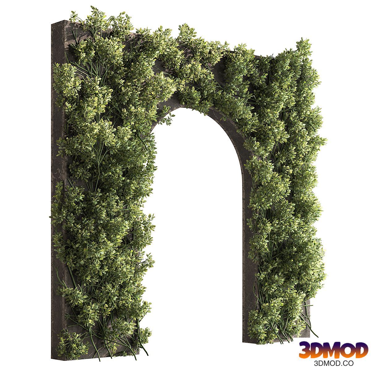 Ivy Plant Wall - Outdoor Plants 738