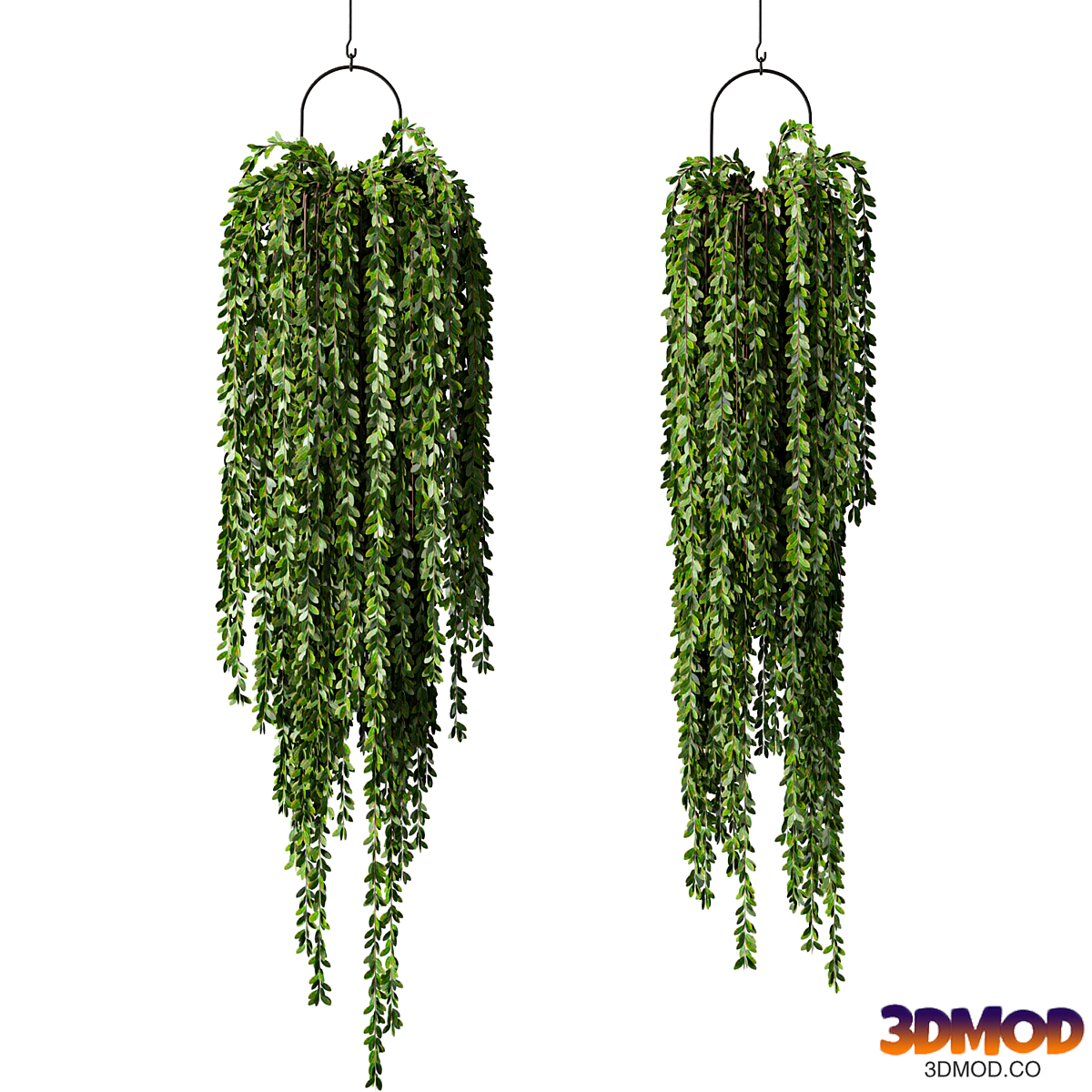 Hanging Plant Indoor Set.241