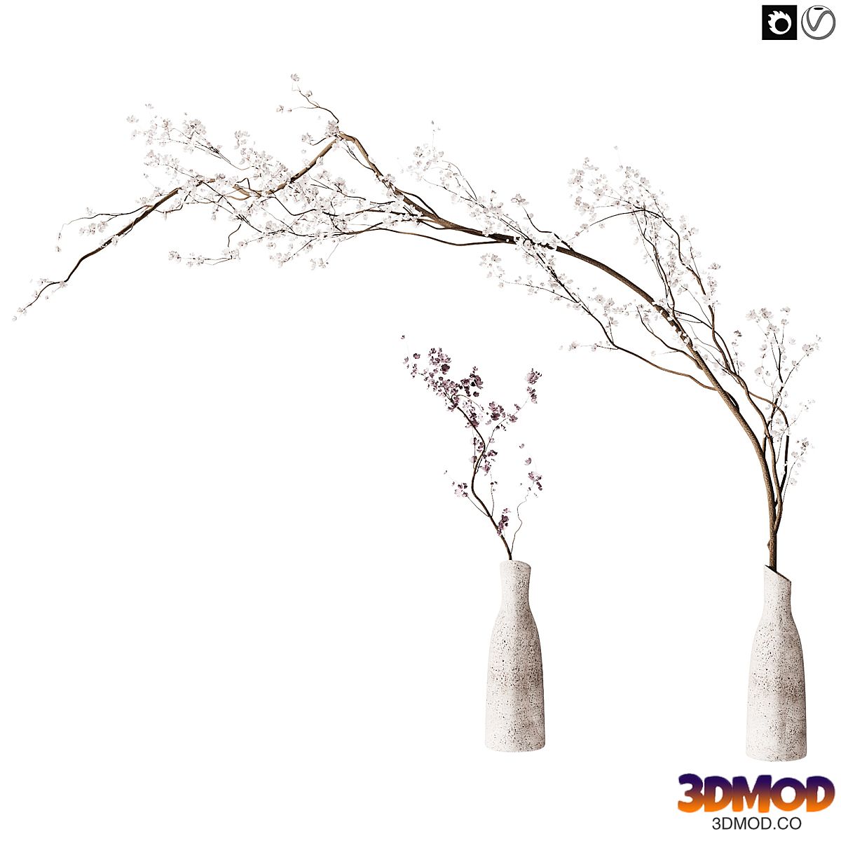 Flowering branch in a vase 04