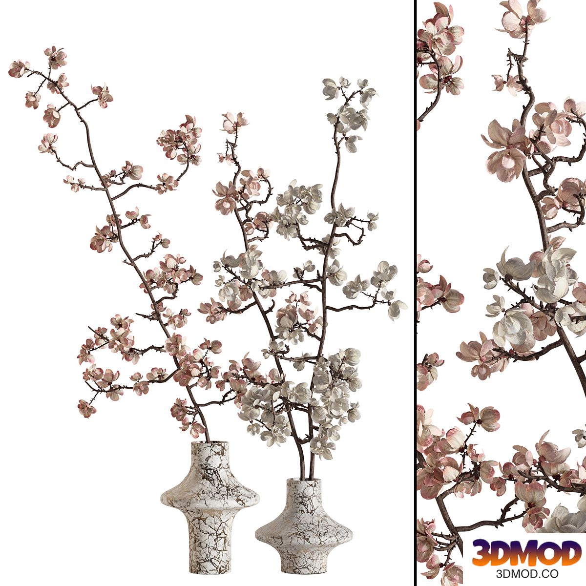 Flowering branches in a vase 02