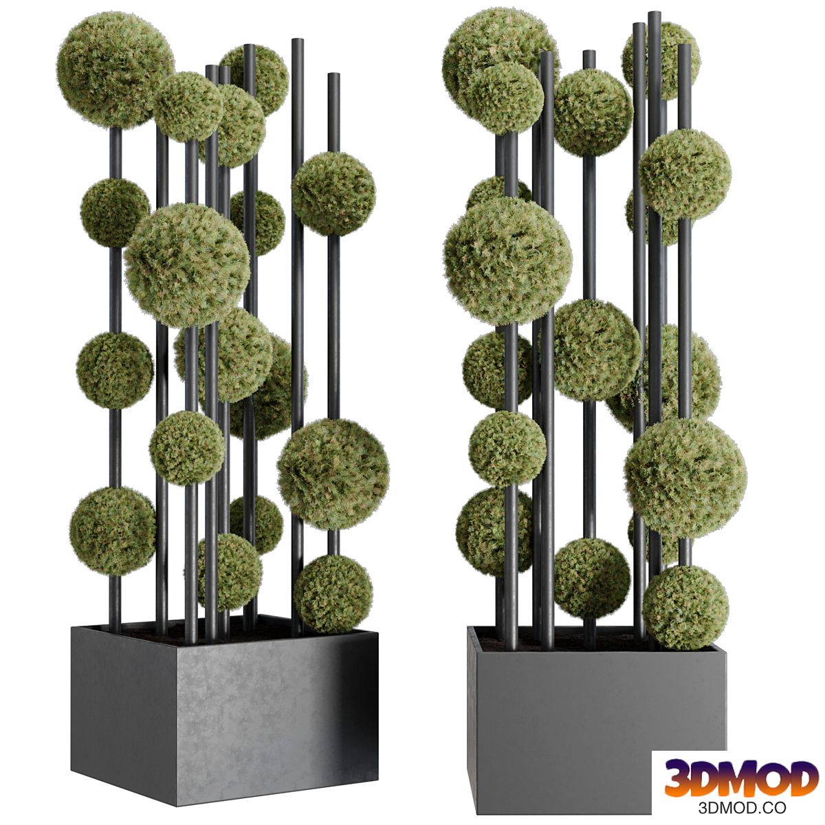 Topiary ball Pine - Outdoor Plants set 239