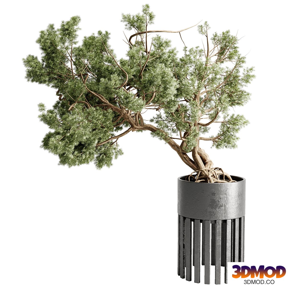 Bonsai Tree in a stand metal pot - Indoor Plant 709